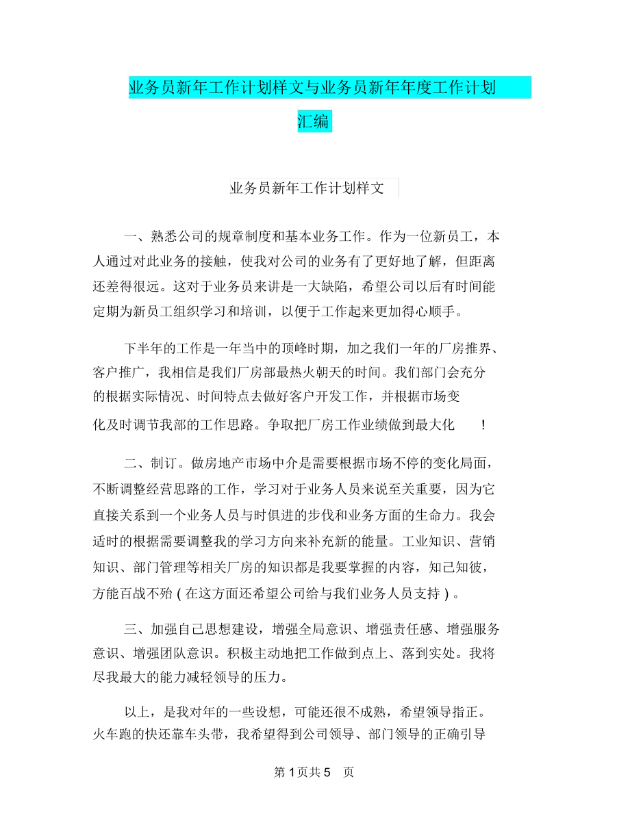 业务员新年工作计划样文与业务员新年年度工作计划汇编.docx_第1页