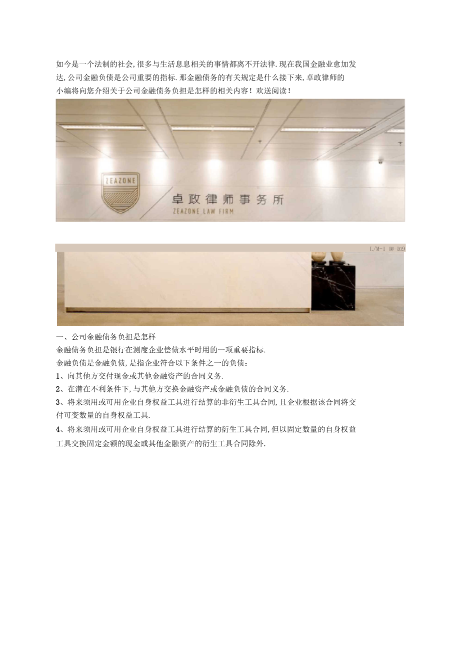 公司金融债务负担是怎样的.docx_第1页