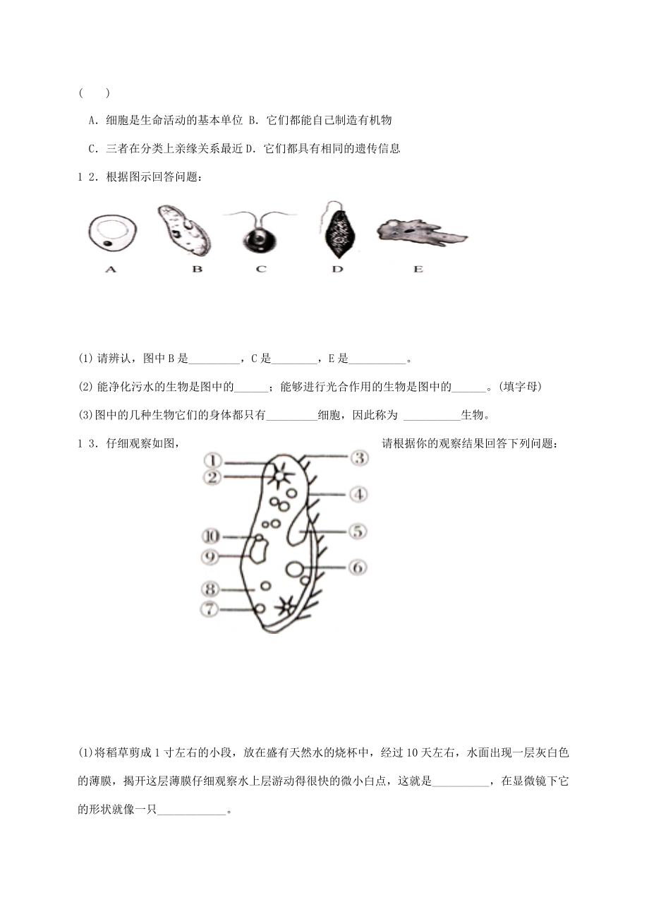 七年级生物上册 2.4 单细胞生物导学案 （新版）新人教版-（新版）新人教版初中七年级上册生物学案.doc_第3页