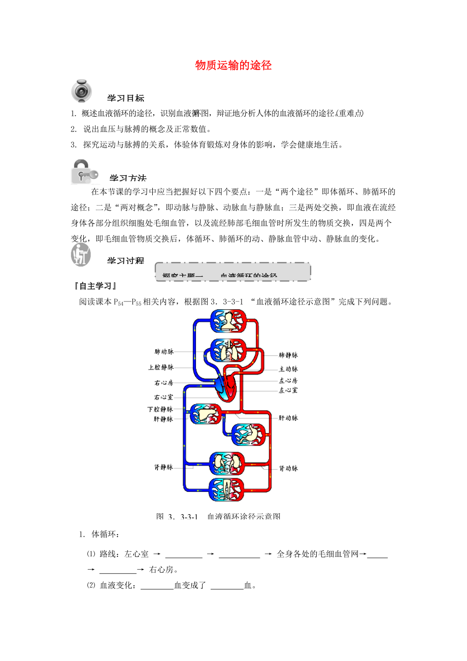 七年级生物下册 3.3.3 物质运输的途径导学案 （新版）济南版-（新版）济南版初中七年级下册生物学案.doc_第1页