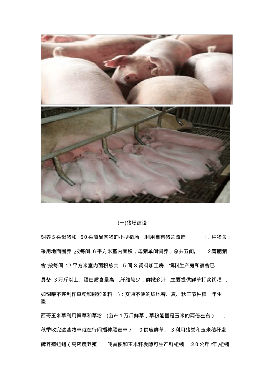 养猪创业策划书.pdf_第3页