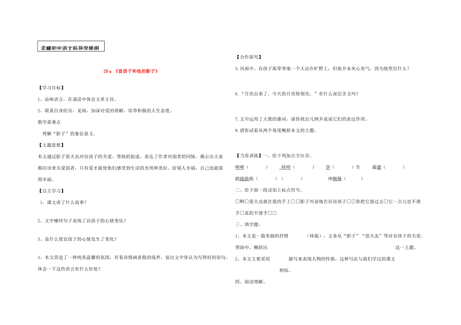 七年级语文上册 29．《盲孩子和他的影子》学案新人教版.doc_第1页