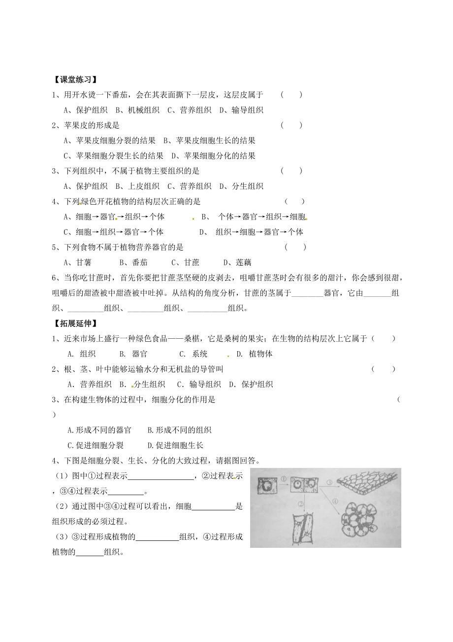 七年级生物下册 8.1植物体的组成学案 苏科版.doc_第2页