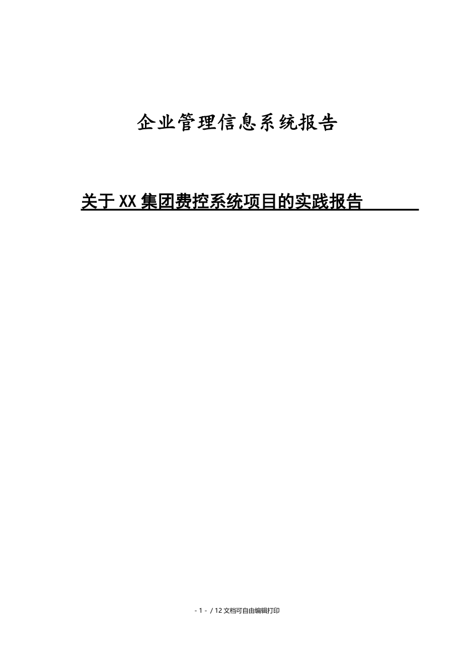 企业管理信息系统报告.doc_第1页