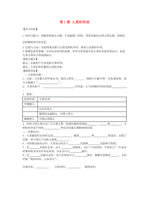 九年级历史上册 1.1 人类的形成学案 新人教版-新人教版初中九年级上册历史学案.doc