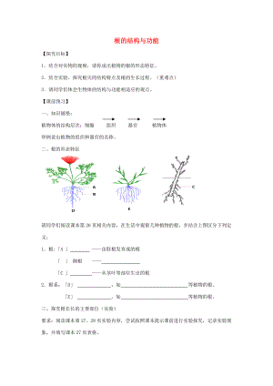 八年级生物上册 4.1.5《根的结构与功能》导学案1（无答案）（新版）济南版-（新版）济南版初中八年级上册生物学案.doc