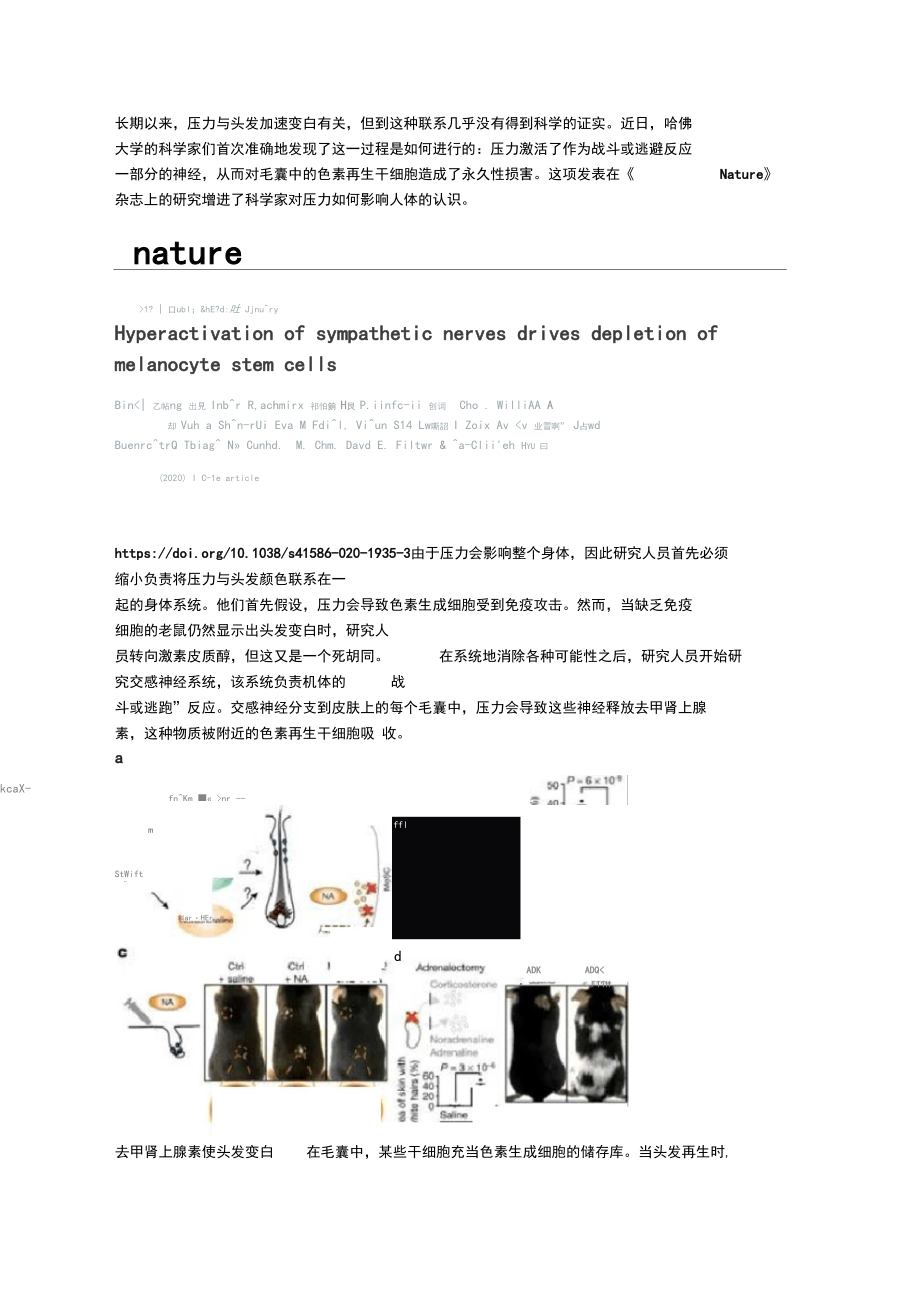 Nature最新研究结果：压力如何导致白发？.docx_第1页