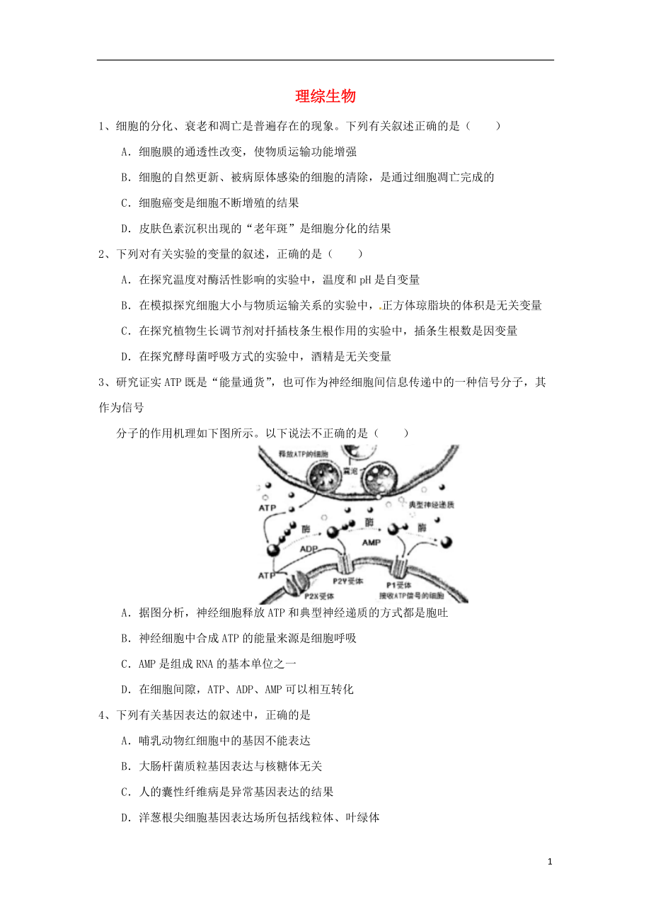 湖北省黄梅县2013届高三生物下学期4月上旬适应性训练（十五）试题（无答案）新人教版.doc_第1页