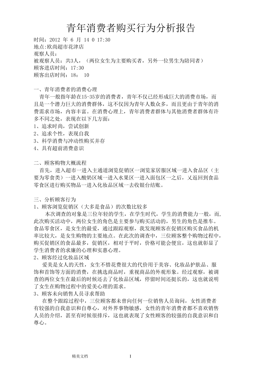 青年消费者购买行为分析报告.docx_第1页