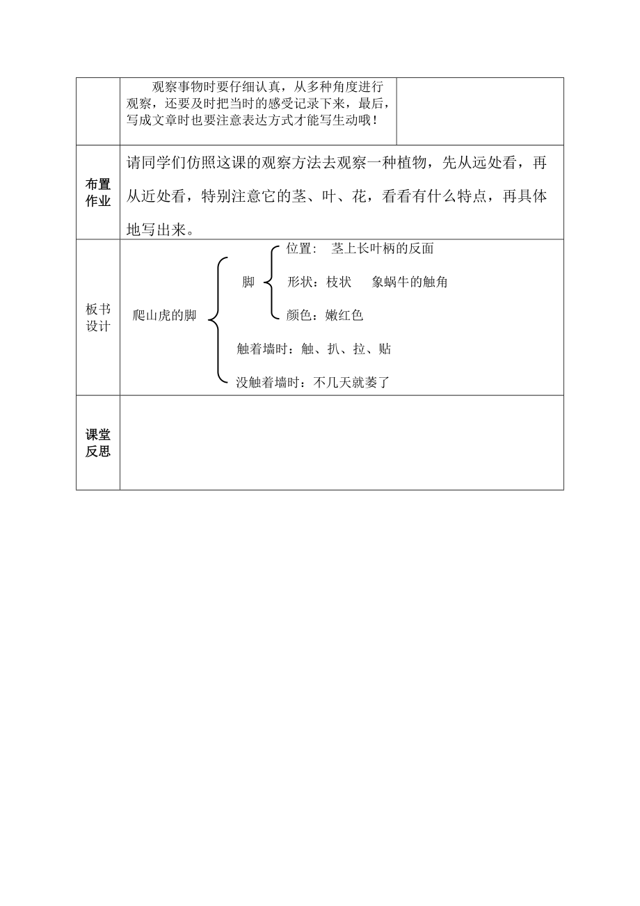 爬山虎的脚导学案1.doc_第3页