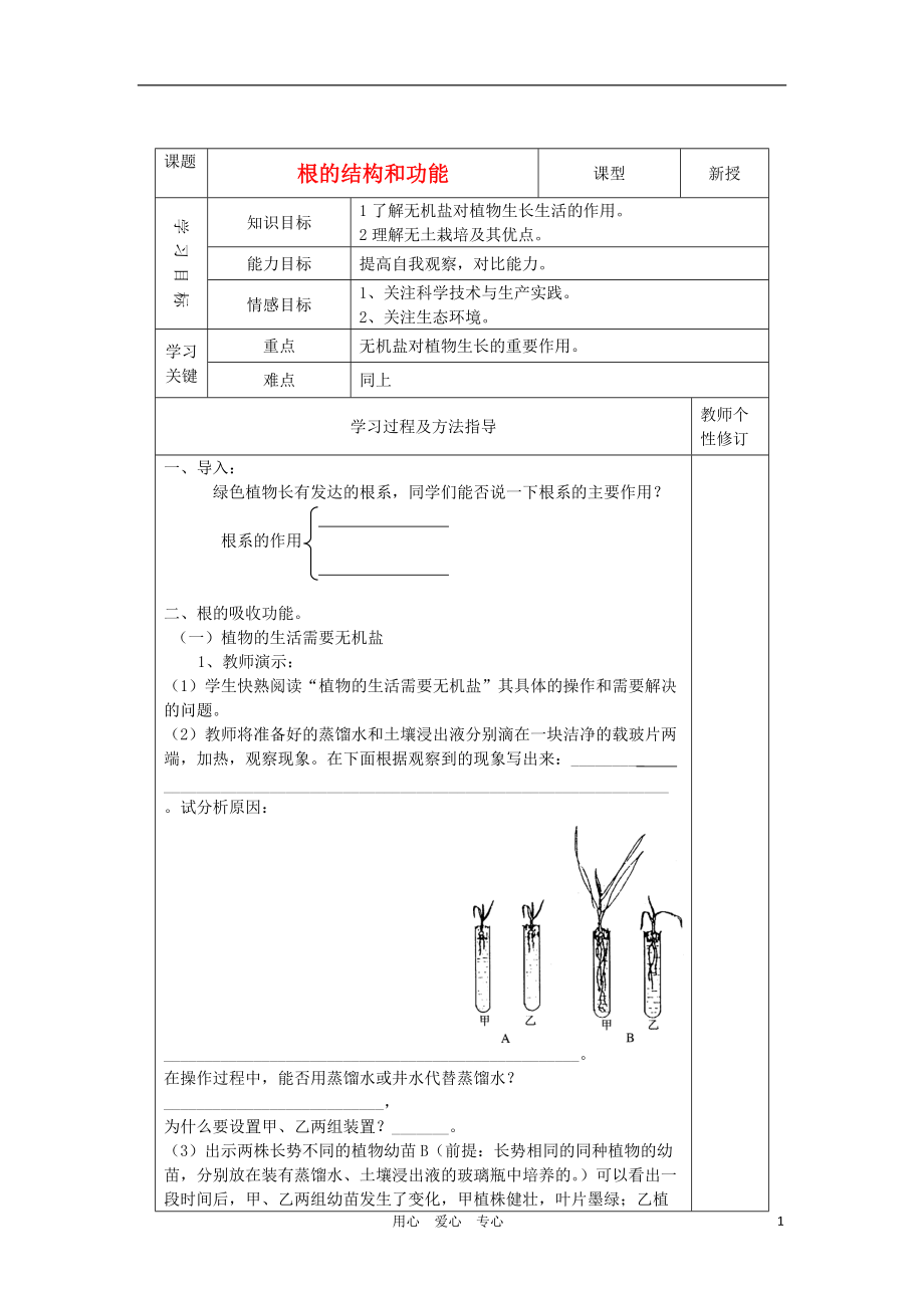 山东省庆云县八年级生物上册 4.1.5《根的结构和功能第2课时 学案（无答案） 济南版.doc_第1页