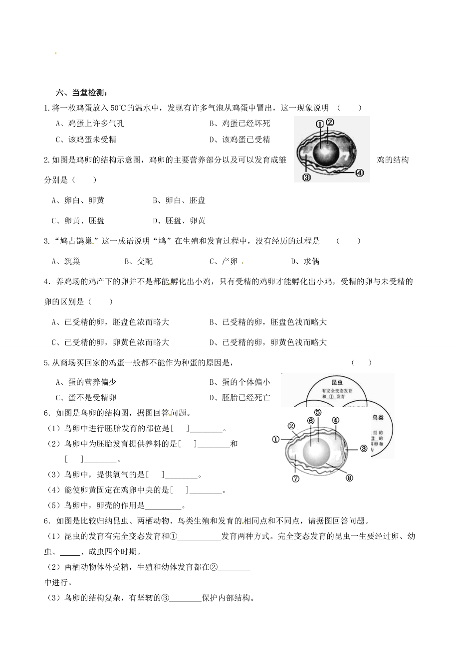 八年级生物下册 7.1.4 鸟的生殖和发育导学案 （新版）新人教版-（新版）新人教版初中八年级下册生物学案.doc_第2页