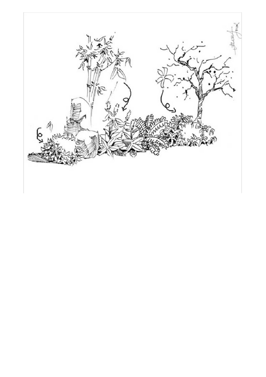 植物配置效果图手绘画法.docx_第1页