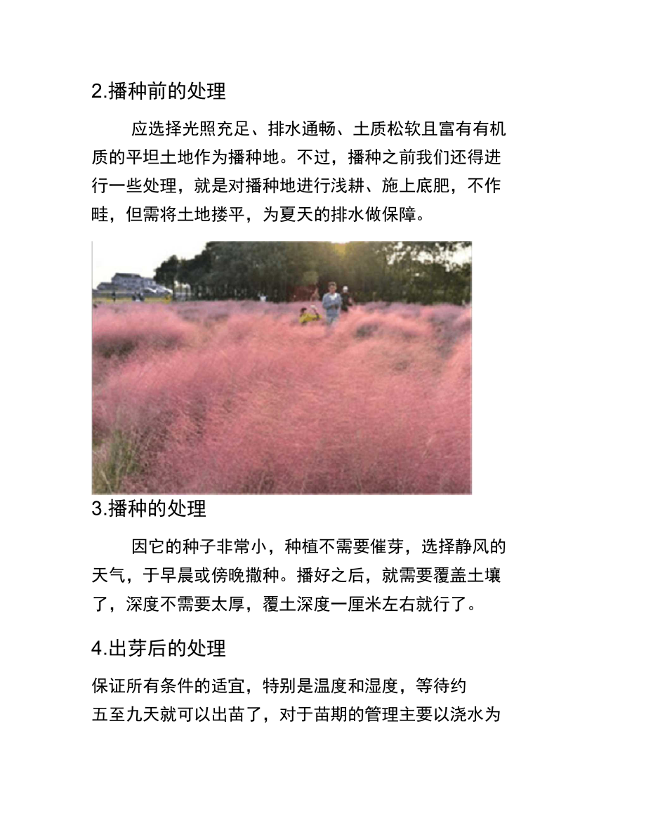 粉黛乱子草的播种方法.doc_第2页