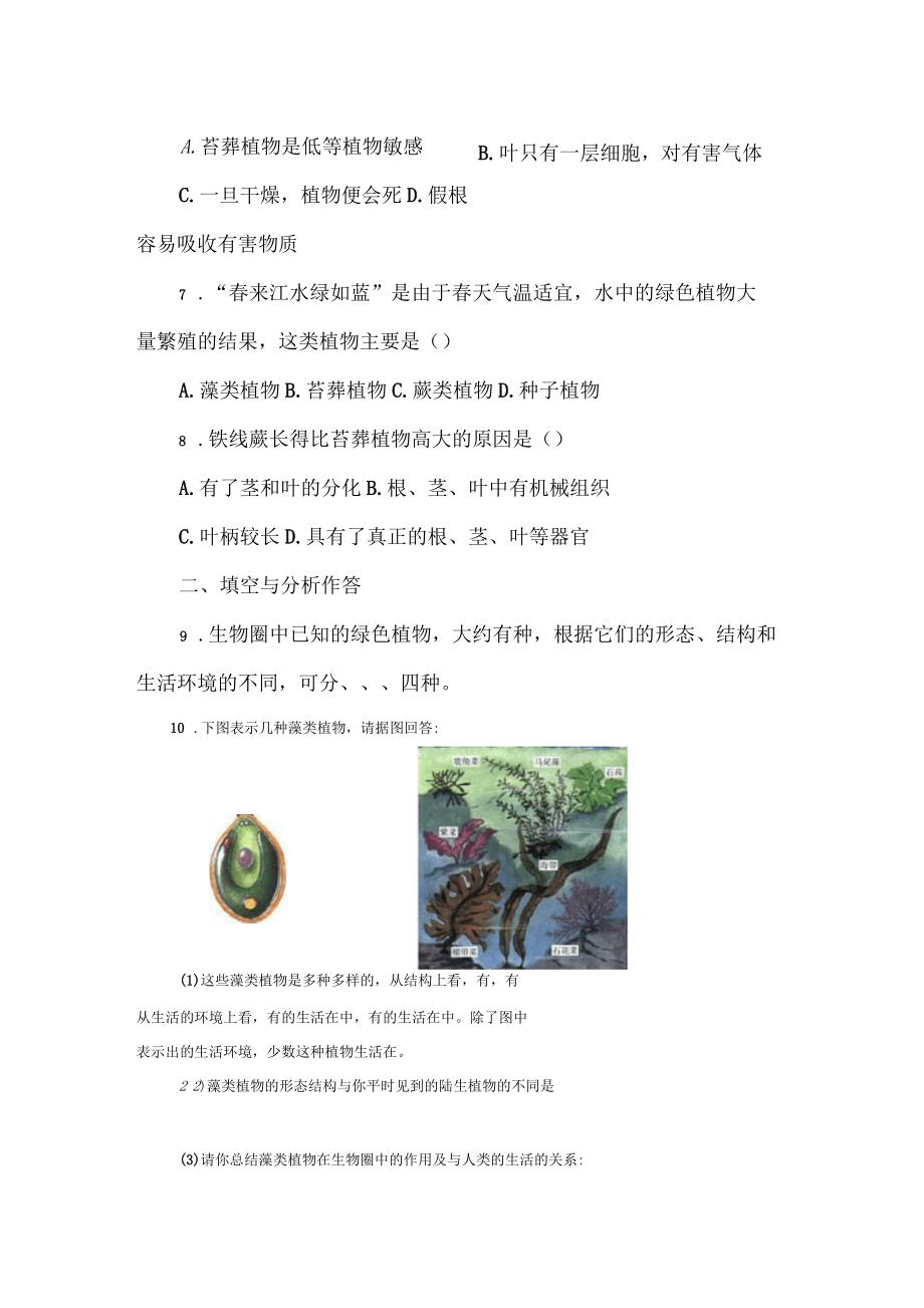 藻类、苔藓和蕨类植物练习题.docx_第3页