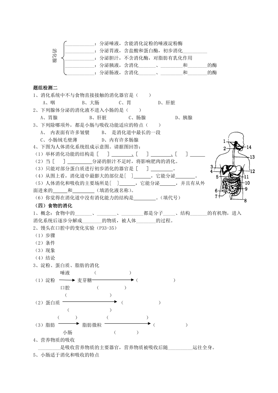 山东省泰安市新泰七年级生物下册 第二章复习学案 新人教版.doc_第2页