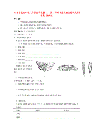 山东省重点八年级生物上册 2.1第二课时《昆虫的生殖和发育》学案 济南版.doc