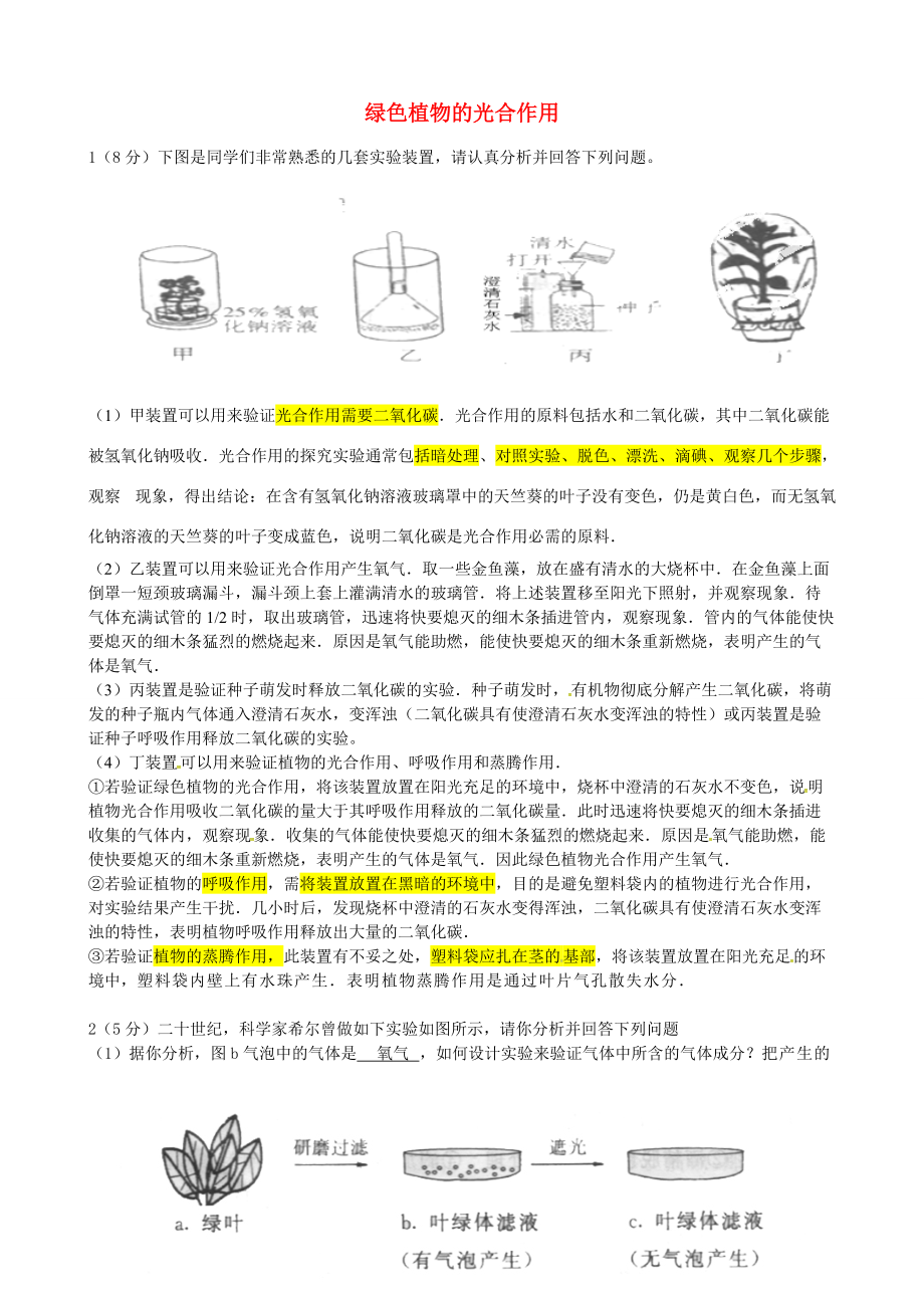 初中七年级生物上册 2.1.3 绿色植物的光合作用学案 （新版）济南版-（新版）济南版初中七年级上册生物学案.doc_第1页