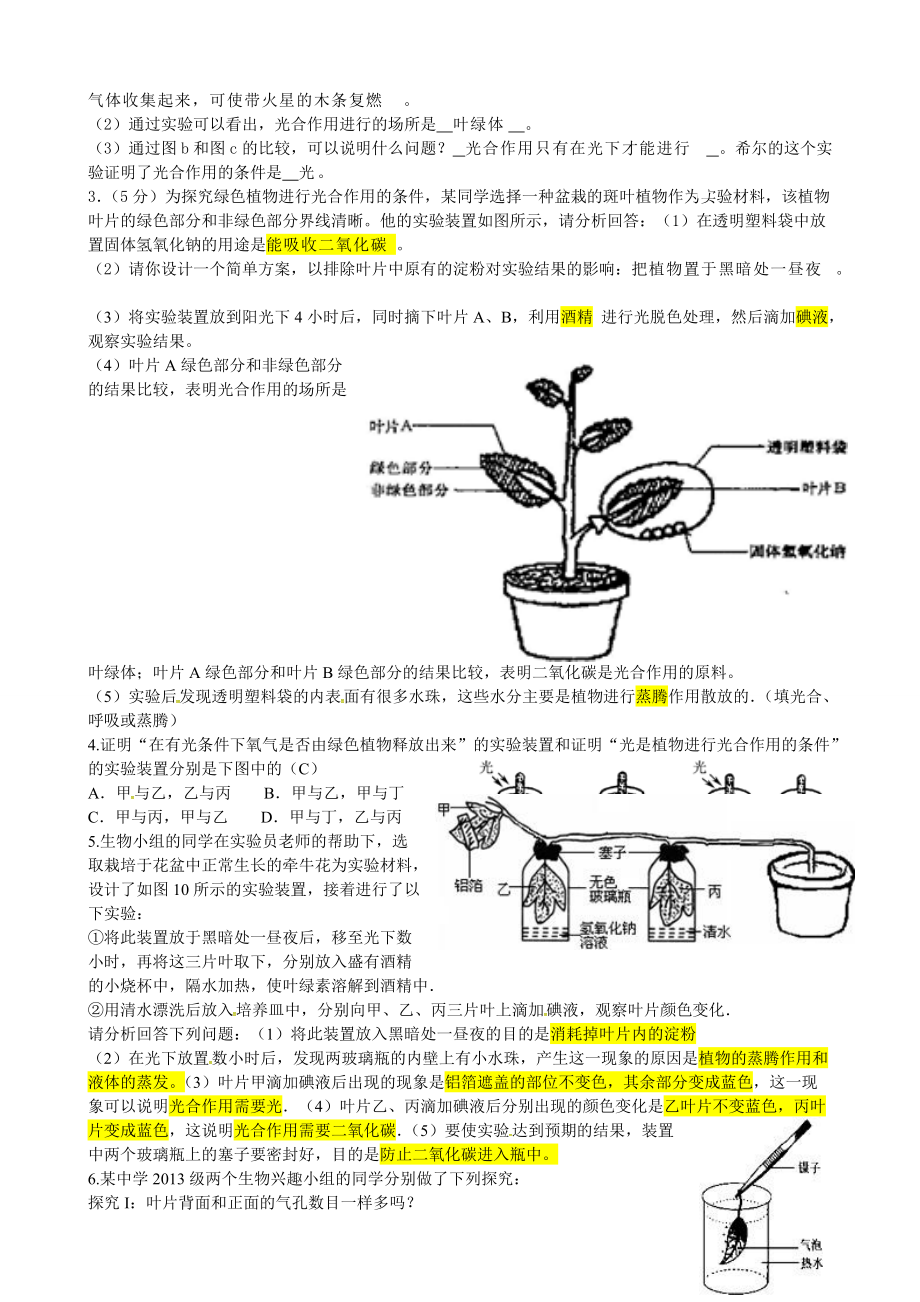 初中七年级生物上册 2.1.3 绿色植物的光合作用学案 （新版）济南版-（新版）济南版初中七年级上册生物学案.doc_第2页