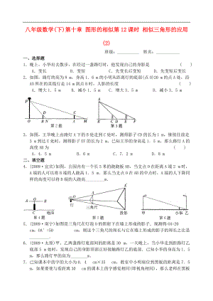 八年级数学下册 第十章 第12课时 相似三角形的应用练习(2) 苏科版.doc