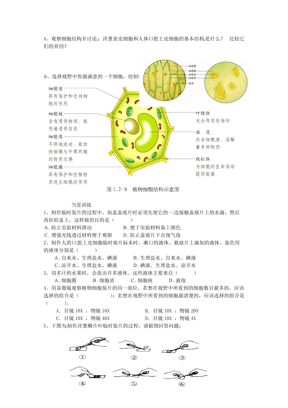 山东省单县希望七年级生物上册 1.2.1 细胞的结构和功能导学案（无答案） 济南版.doc_第2页