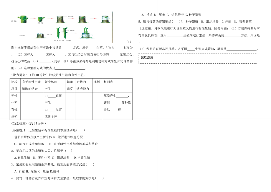 八年级生物上册植物的无性生殖导学案济南版.doc_第2页