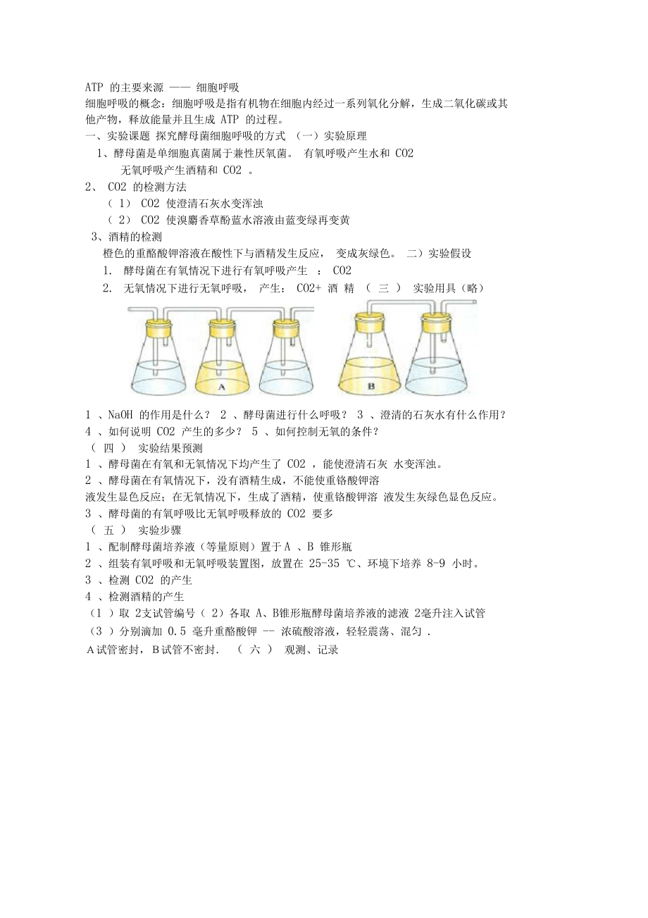 光合作用和呼吸作用知识点总结..docx_第1页