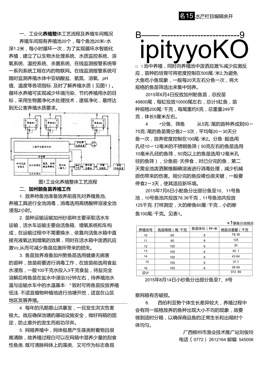 加州鲈工业化循环水养殖技术初探.doc_第1页