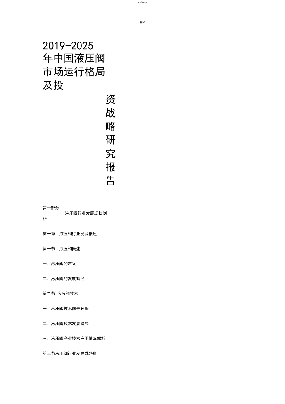 2019-2025年中国液压阀市场运行格局及投资战略研究报告.docx_第1页