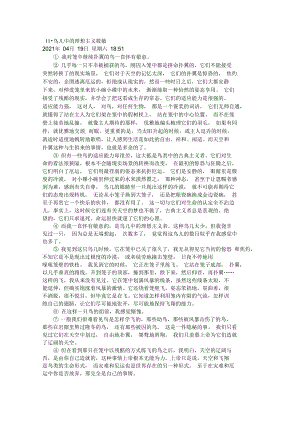 筱敏《鸟儿中的理想主义》原文阅读(内含练习和答案).docx