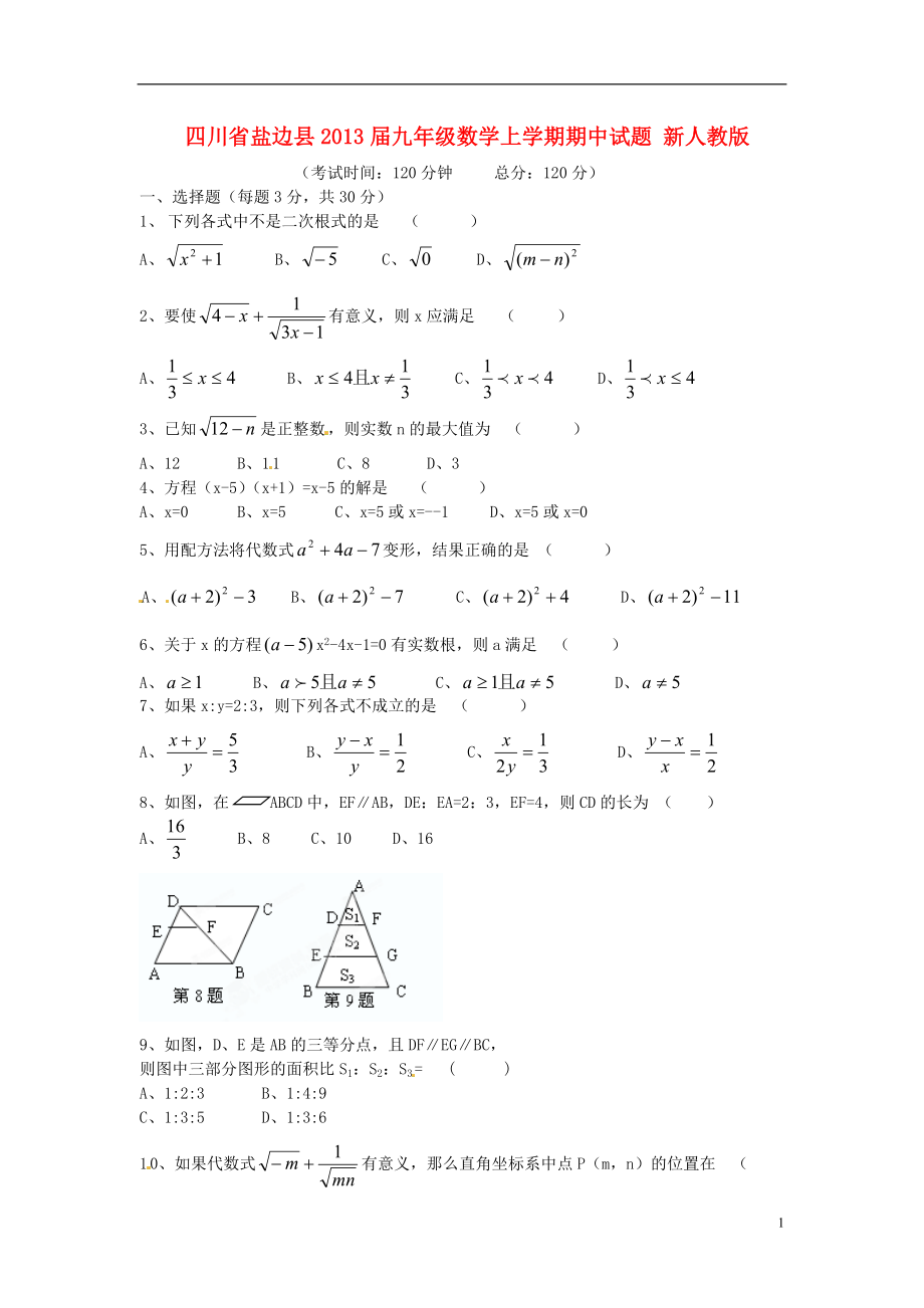 四川省盐边县2013届九年级数学上学期期中试题 新人教版.doc_第1页