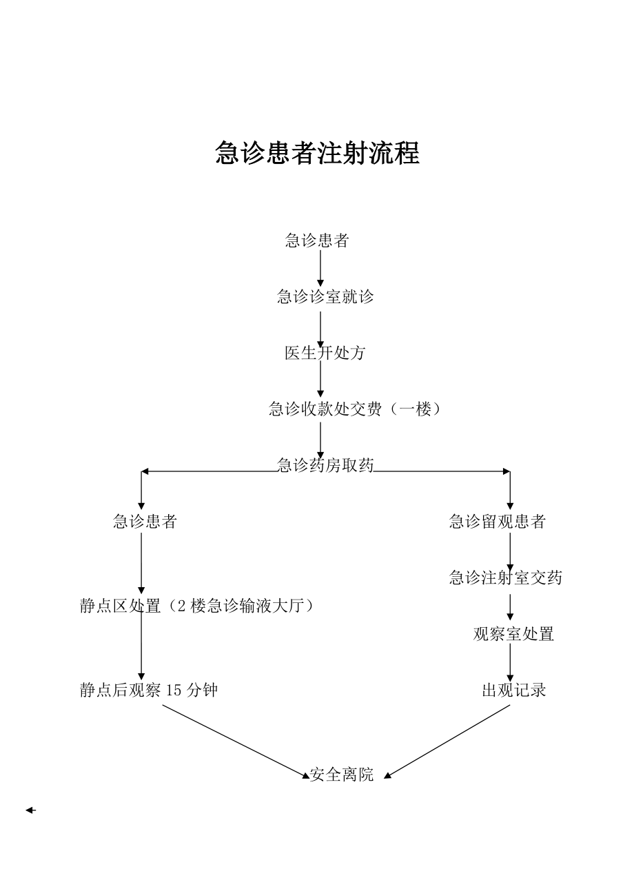 急诊就诊流程图.docx_第3页