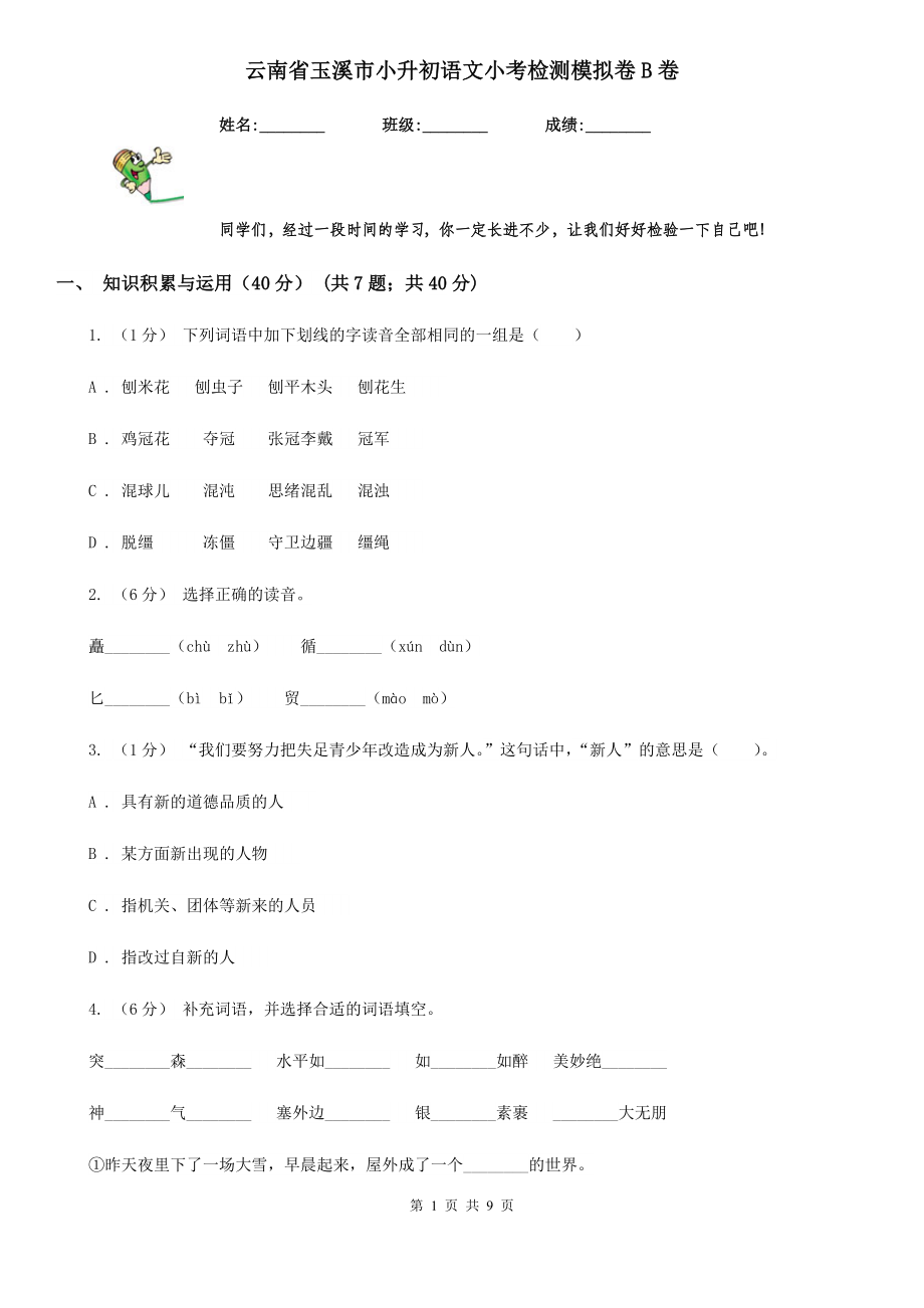 云南省玉溪市小升初语文小考检测模拟卷B卷.doc_第1页