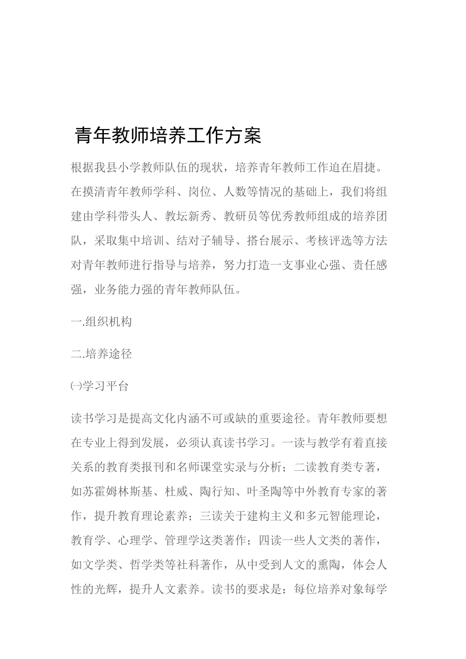 (工作计划)青年教师培养工作方案.doc_第1页