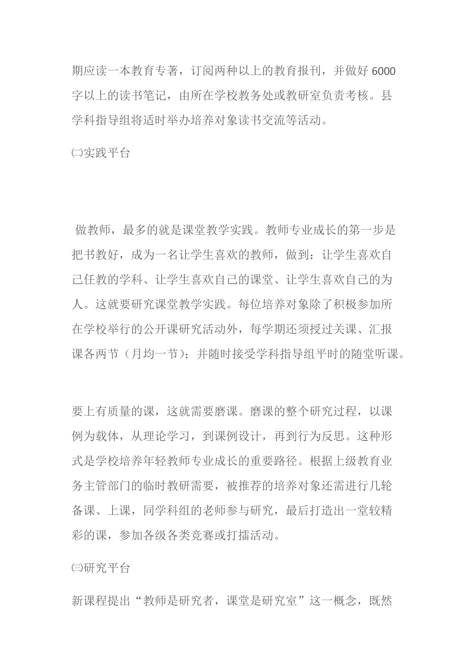 (工作计划)青年教师培养工作方案.doc_第2页