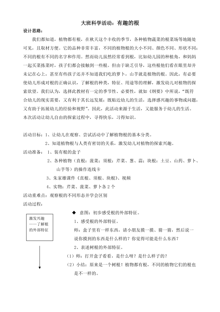 幼儿园大班科学教案：有趣的根.doc_第1页