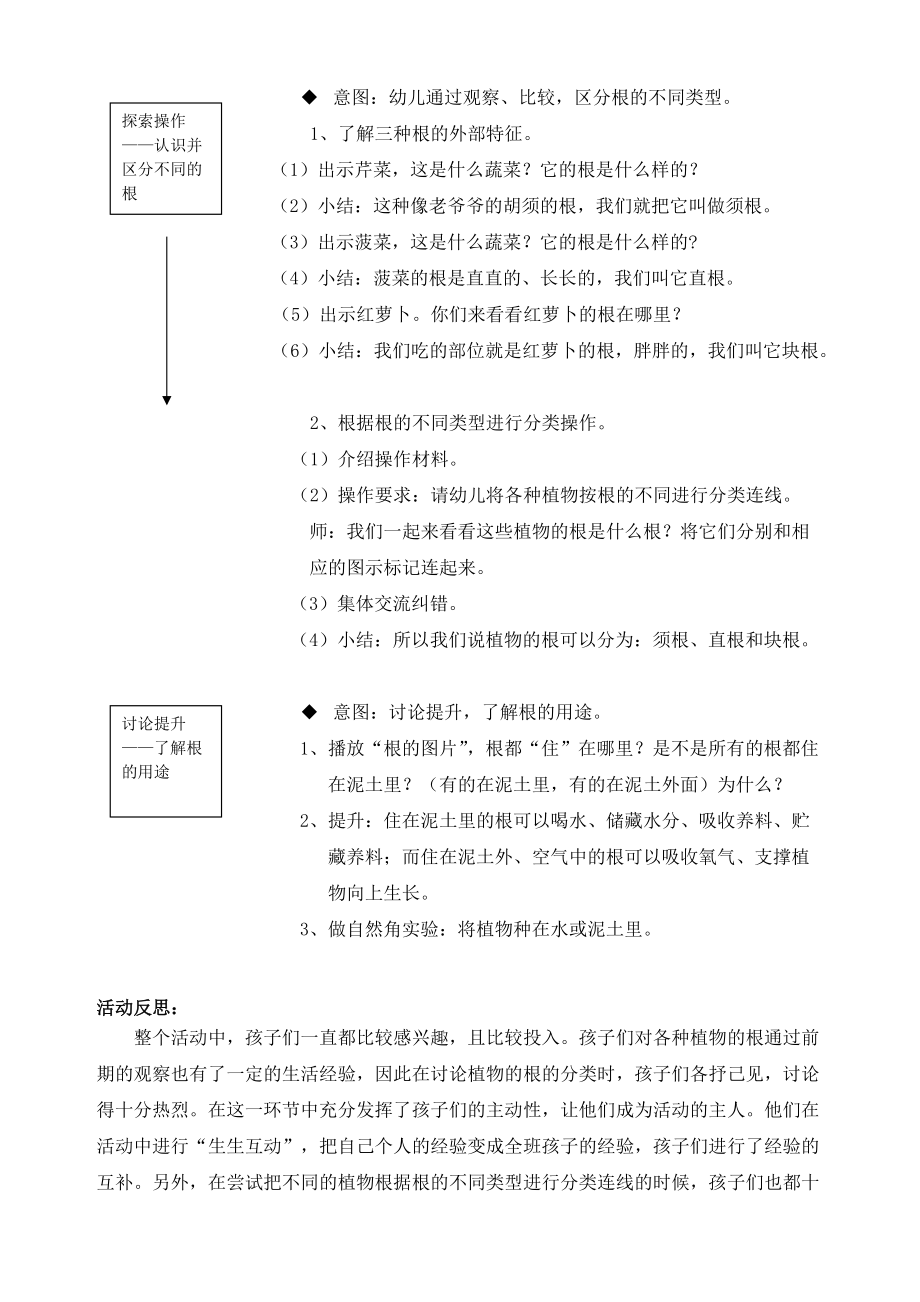 幼儿园大班科学教案：有趣的根.doc_第2页