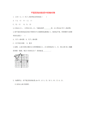 八年级数学上册 2.2 平面直角坐标系中的轴对称(2)同步练习 (新版)青岛版 试题.doc