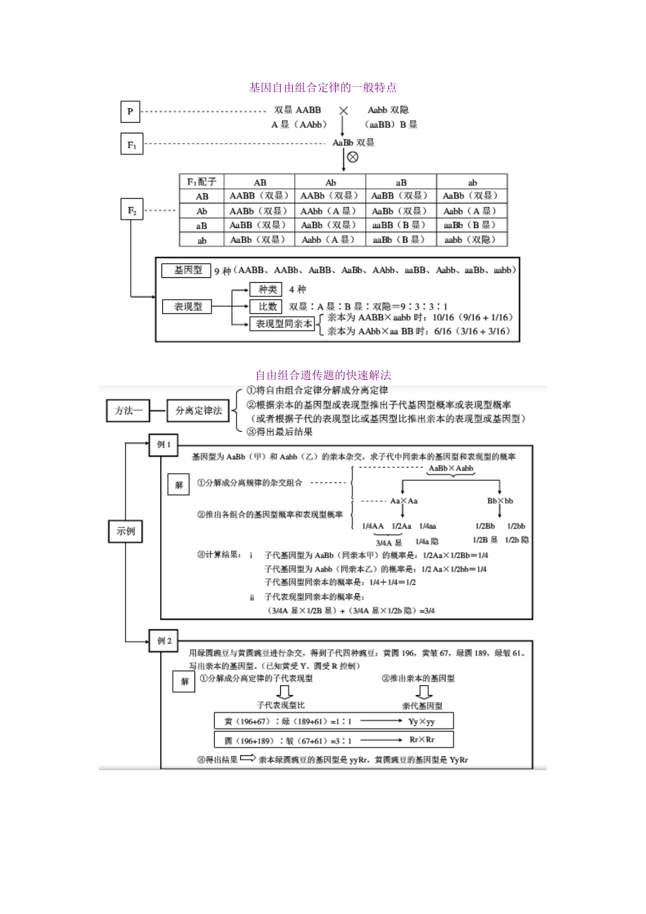 人教版教学教案生物必修2遗传与进化教师教案（Word）.doc_第2页