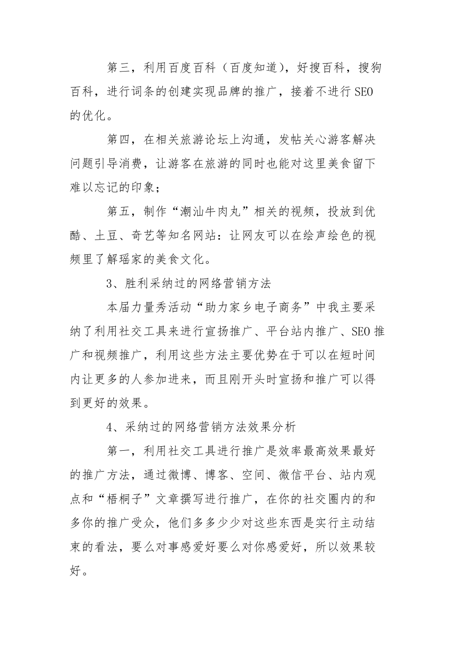 网络营销力量秀的实践总结报告.docx_第3页