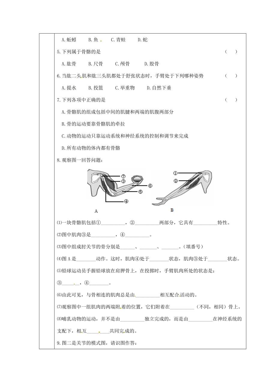 八年级生物上册 第5单元第2章第1节动物的运动教案 人教新课标版 教案.doc_第3页