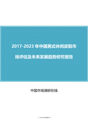 中国男式休闲皮鞋市场评估报告.docx