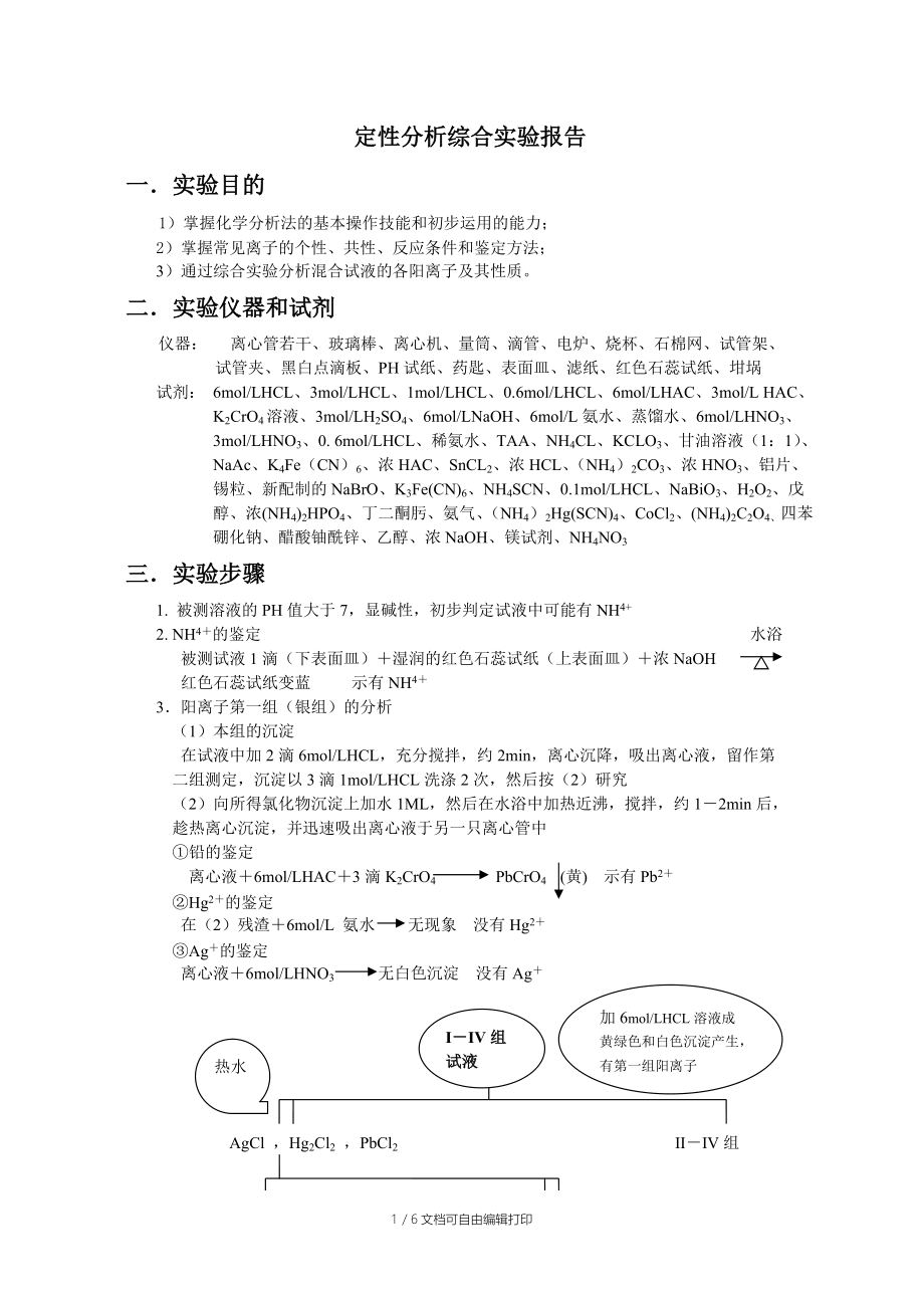 定性分析综合实验报告.doc_第1页