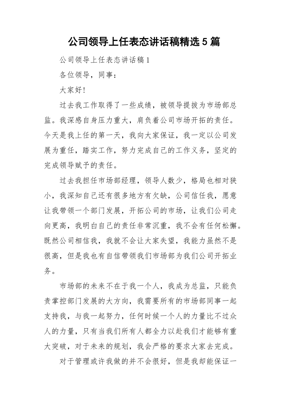 公司领导上任表态讲话稿精选5篇.doc_第1页