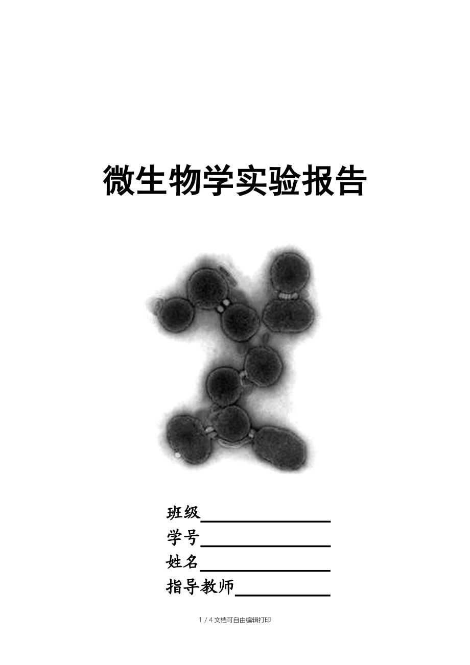 微生物学实验报告格式.doc_第1页