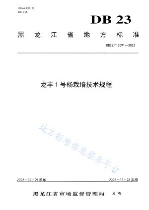 龙丰1号杨栽培技术规程DB23_T 3091—2022 黑龙江省.pdf