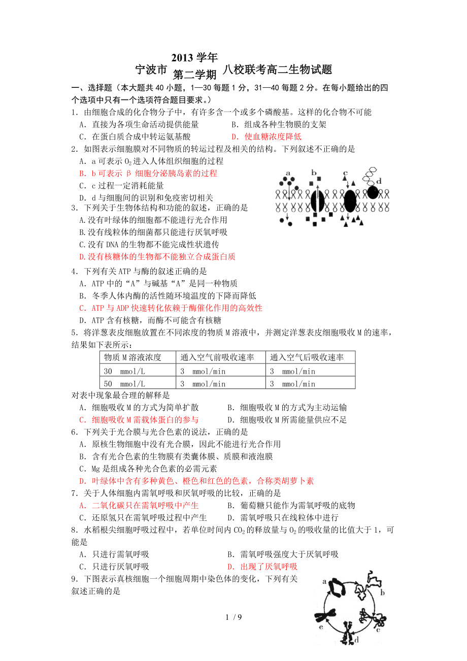 学年第二学期宁波市八校联考高二生物试题修改.doc_第1页