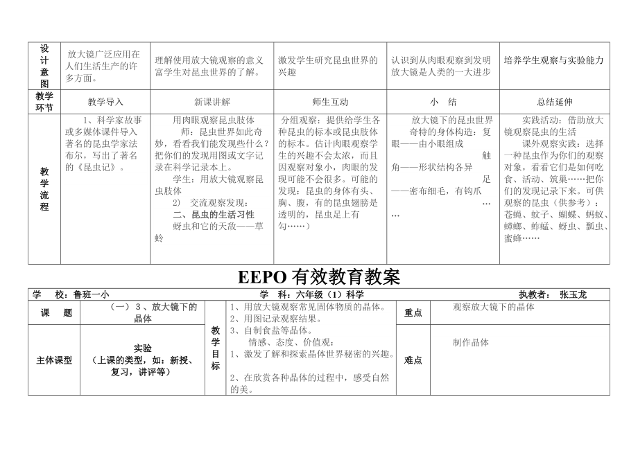 EEPO教案模版(六年级科学)张玉龙.doc_第3页