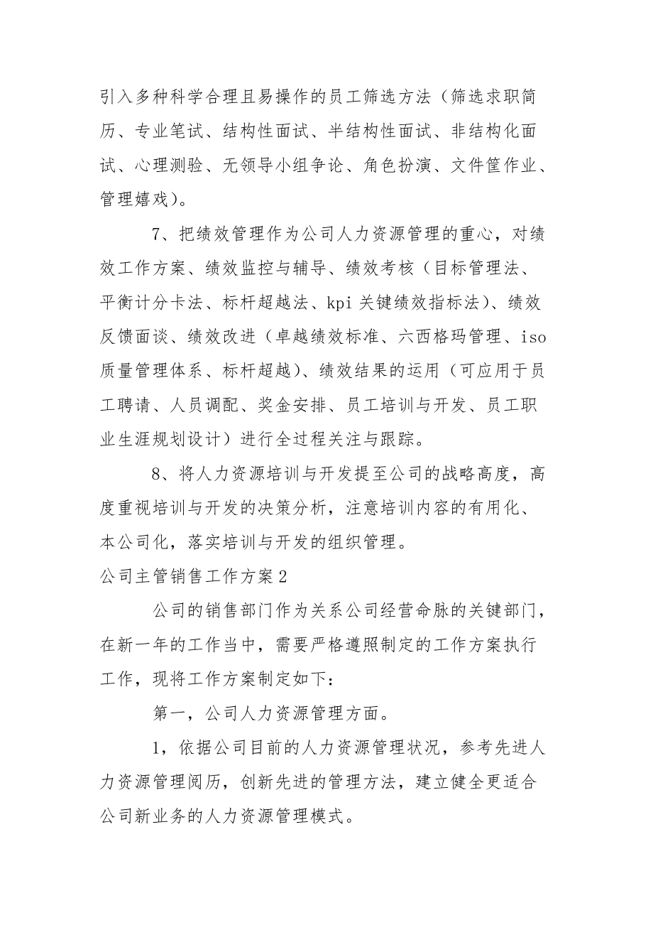 公司主管销售工作方案_2.docx_第3页