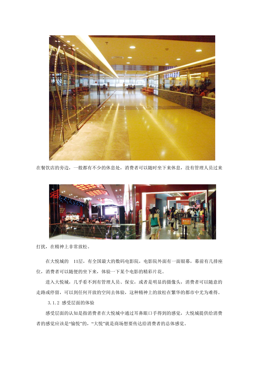 某商业地产品牌建设及广告传播.docx_第3页